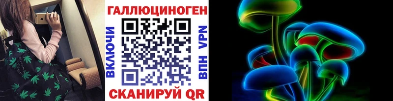 Купить где  Ефремов  Галлюциногенные грибы Psilocybine cubensis 